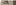 /assets/images/team/image6.jpg
