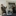 /assets/images/team/image8.jpg